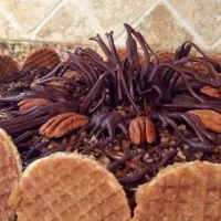 Pay de queso Tortuga o Turtle Cheesecake