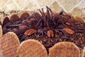 Pay de queso Tortuga o Turtle Cheesecake