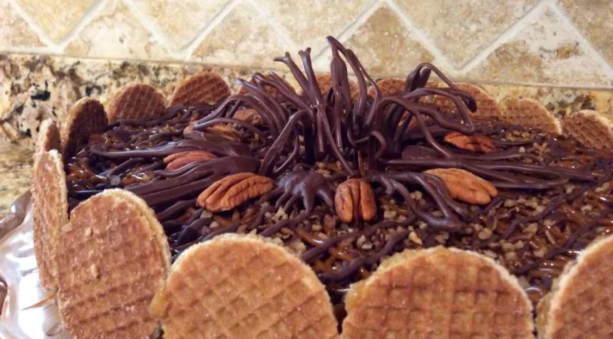 Pay de queso Tortuga o Turtle Cheesecake