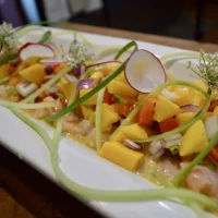 Tiradito de Salmón 25 Tiradito de Salmón