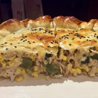 Pay de Pollo Poblano