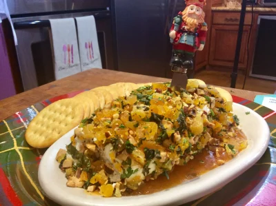 Rollo de queso de cabra con chabacanos