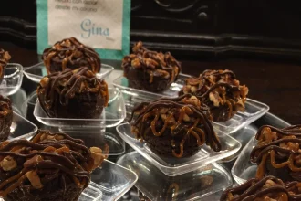 Brownies Tortuga